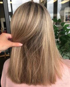 blend grey with highlights columbus IN